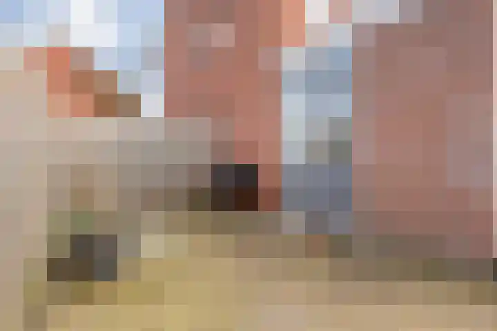 De Fazant 17 Dedemsvaart thumbnail 28