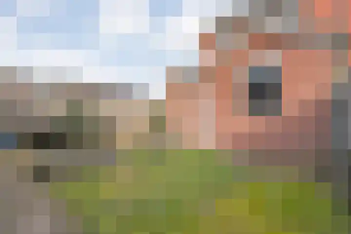 De Fazant 17 Dedemsvaart thumbnail 29