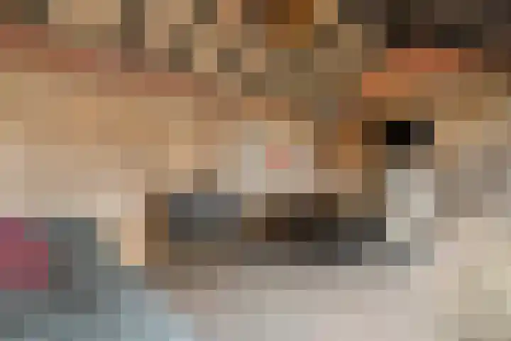 De Fazant 17 Dedemsvaart thumbnail 30