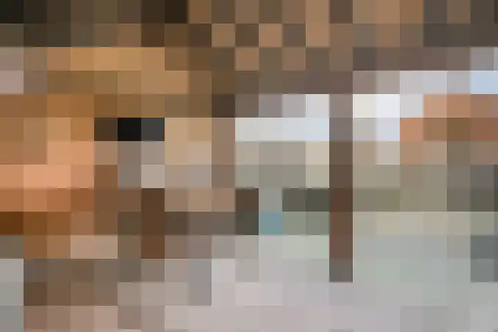 De Fazant 17 Dedemsvaart thumbnail 31