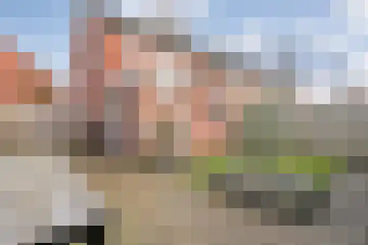 De Fazant 17 Dedemsvaart thumbnail 32