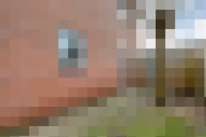 De Fazant 17 Dedemsvaart thumbnail 33