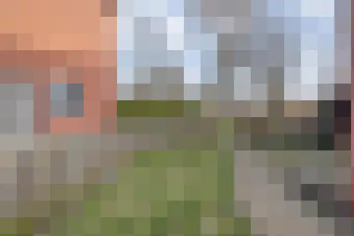 De Fazant 17 Dedemsvaart thumbnail 34