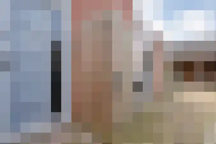 De Fazant 17 Dedemsvaart thumbnail 35
