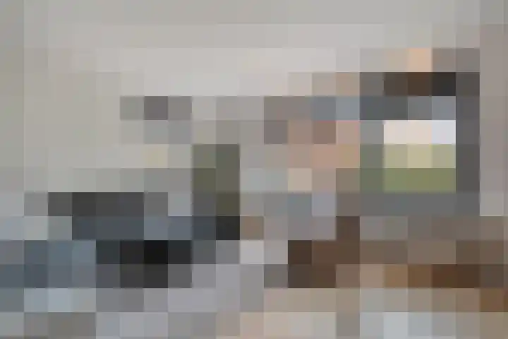 De Fazant 17 Dedemsvaart thumbnail 4