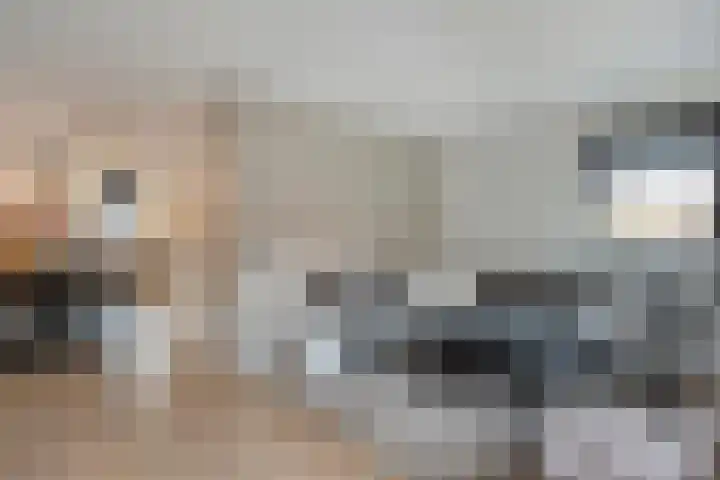 De Fazant 17 Dedemsvaart thumbnail 5