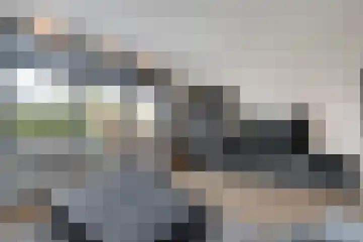 De Fazant 17 Dedemsvaart thumbnail 6