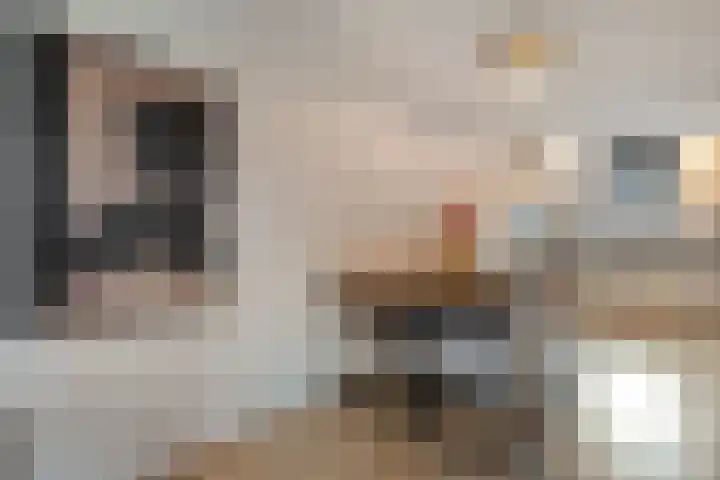 De Fazant 17 Dedemsvaart thumbnail 8