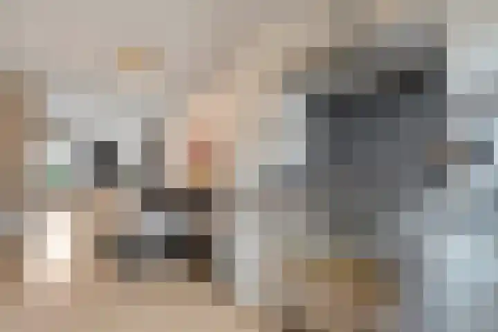 De Fazant 17 Dedemsvaart thumbnail 9