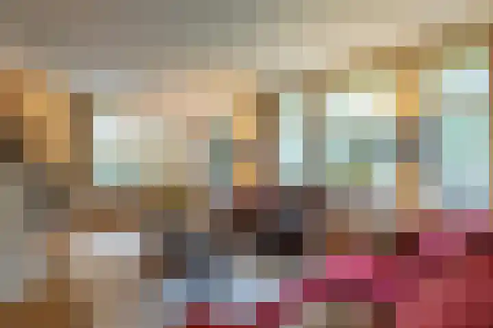 De Fazant 17 Vroomshoop thumbnail 10