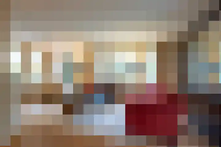De Fazant 17 Vroomshoop thumbnail 11