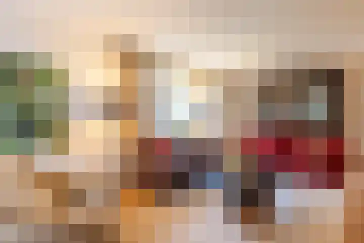 De Fazant 17 Vroomshoop thumbnail 12