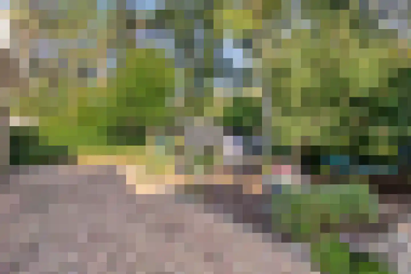 De Fazant 17 Vroomshoop thumbnail 13