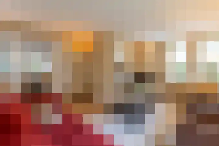 De Fazant 17 Vroomshoop thumbnail 13
