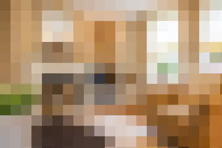 De Fazant 17 Vroomshoop thumbnail 14