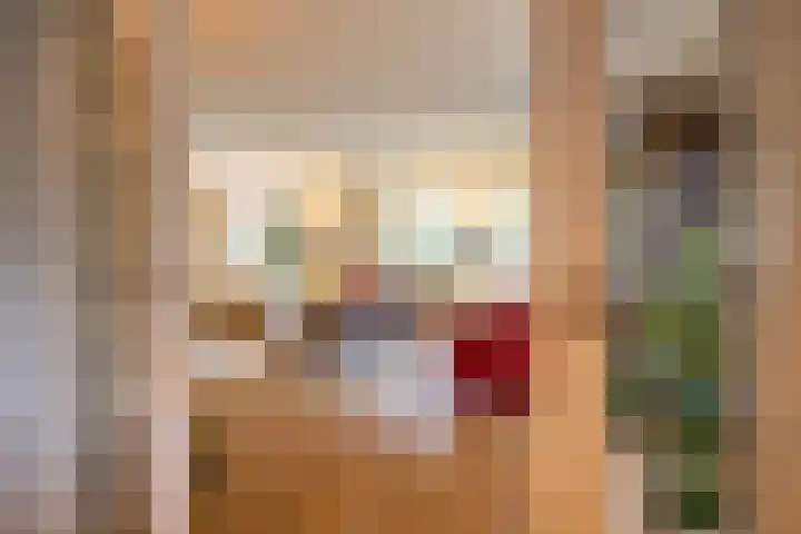 De Fazant 17 Vroomshoop thumbnail 15
