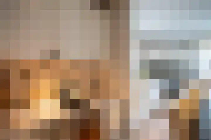 De Fazant 17 Vroomshoop thumbnail 17