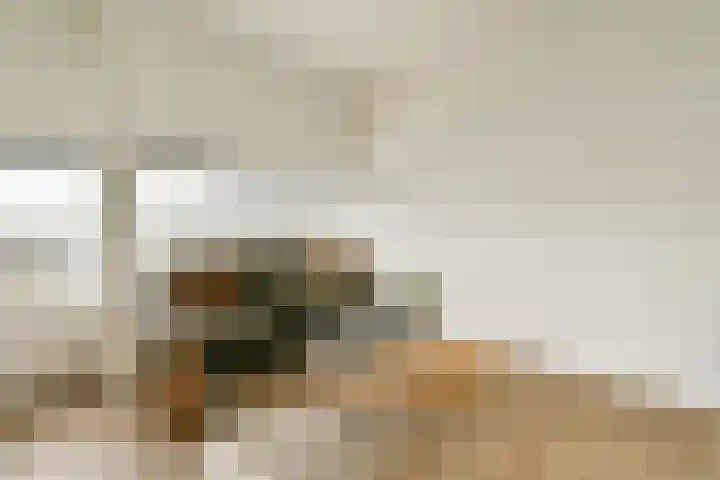 De Fazant 17 Vroomshoop thumbnail 19