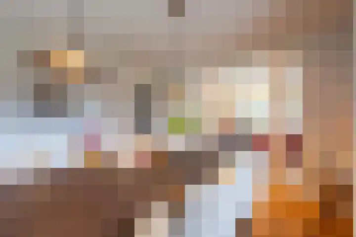 De Fazant 17 Vroomshoop thumbnail 19