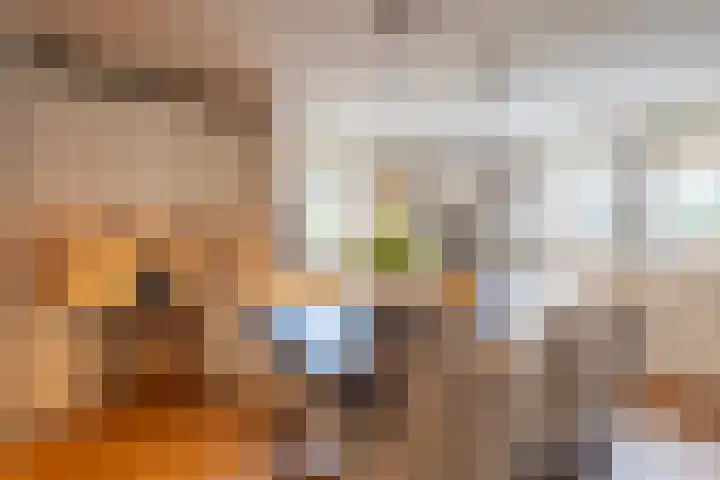 De Fazant 17 Vroomshoop thumbnail 21