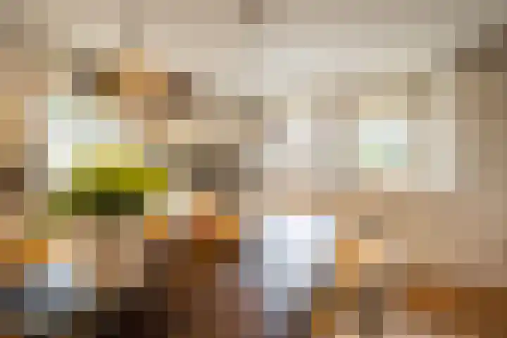 De Fazant 17 Vroomshoop thumbnail 22