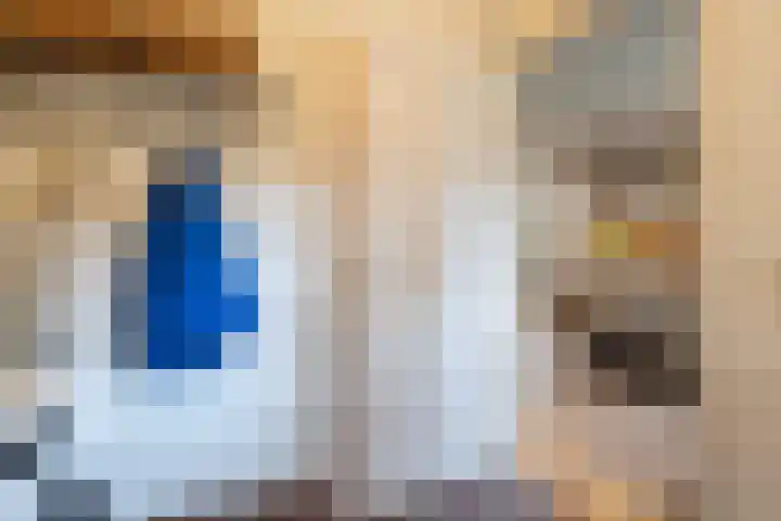 De Fazant 17 Vroomshoop thumbnail 23
