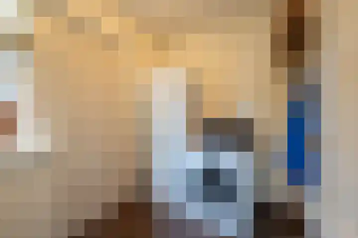 De Fazant 17 Vroomshoop thumbnail 24