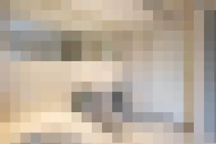 De Fazant 17 Vroomshoop thumbnail 25