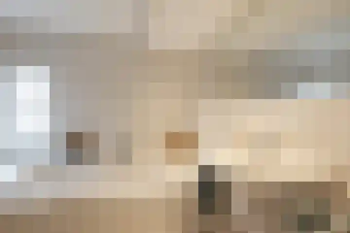 De Fazant 17 Vroomshoop thumbnail 26