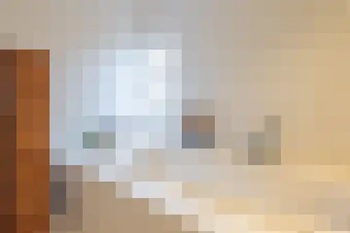 De Fazant 17 Vroomshoop thumbnail 27