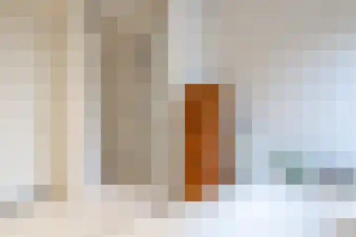 De Fazant 17 Vroomshoop thumbnail 28