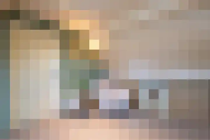 De Fazant 17 Vroomshoop thumbnail 29