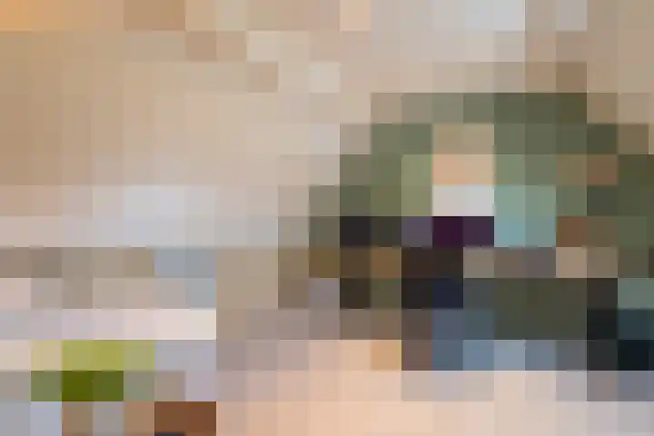 De Fazant 17 Vroomshoop thumbnail 30