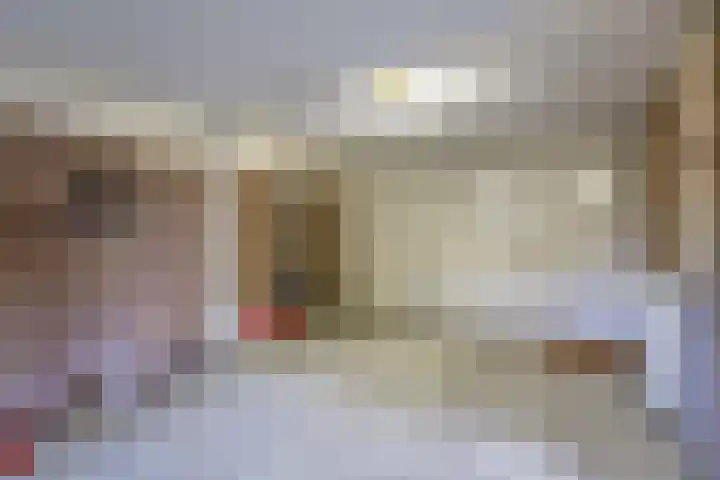 De Fazant 17 Vroomshoop thumbnail 31