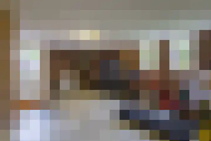 De Fazant 17 Vroomshoop thumbnail 32