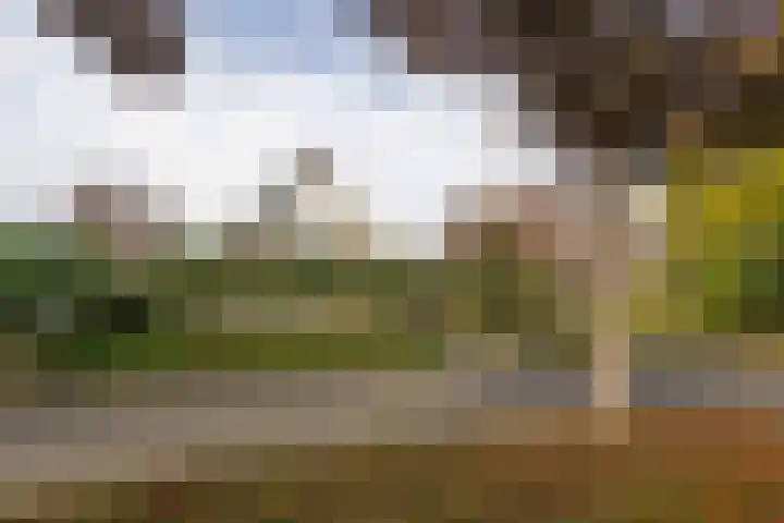 De Fazant 17 Vroomshoop thumbnail 33