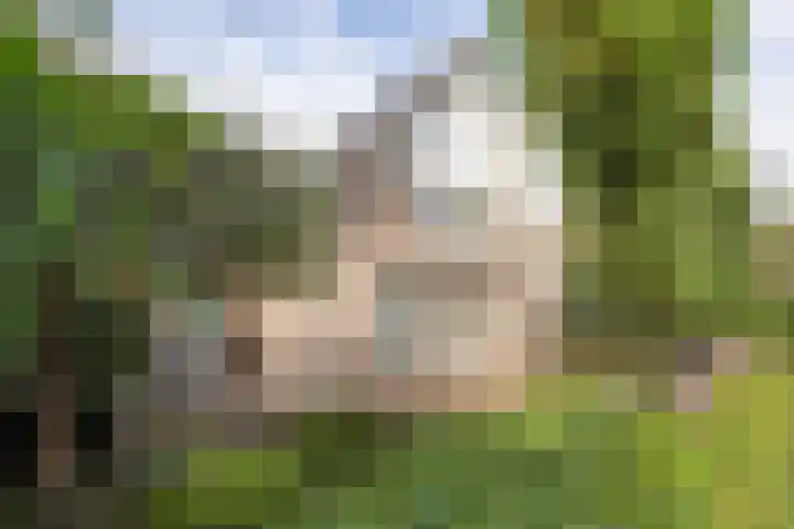 De Fazant 17 Vroomshoop thumbnail 34