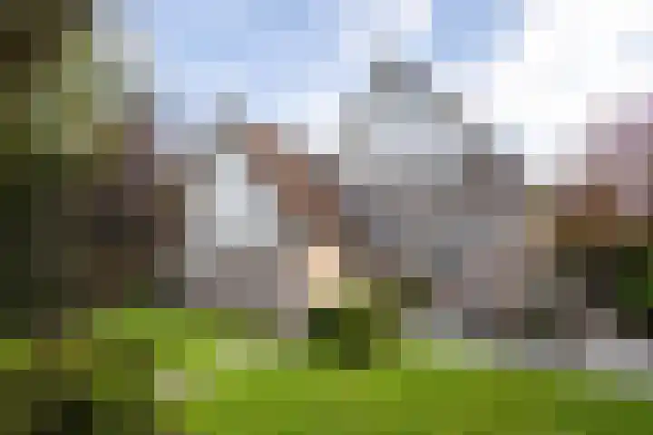 De Fazant 17 Vroomshoop thumbnail 35