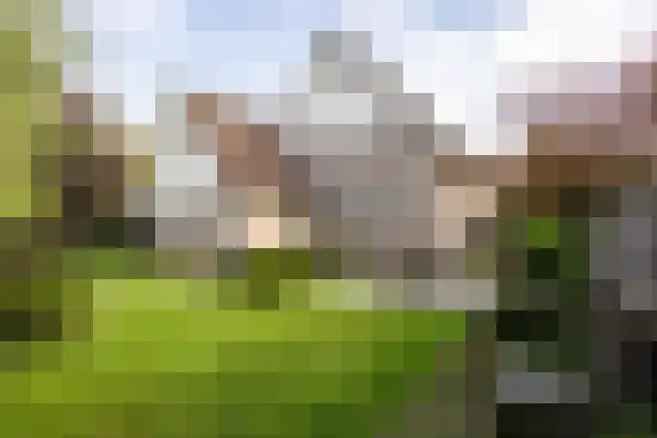 De Fazant 17 Vroomshoop thumbnail 36
