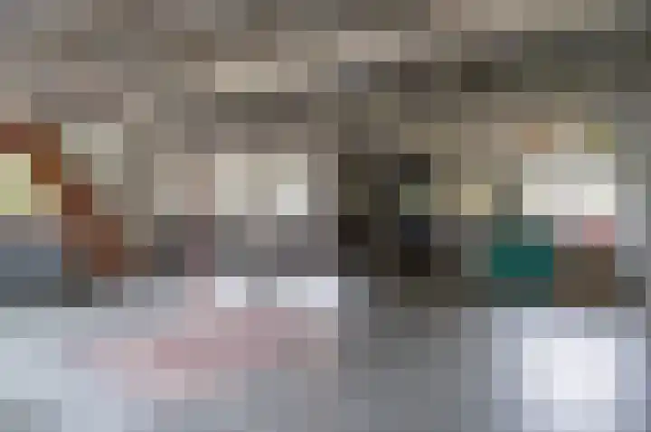 De Fazant 17 Vroomshoop thumbnail 37
