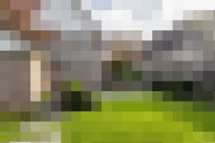 De Fazant 17 Vroomshoop thumbnail 38