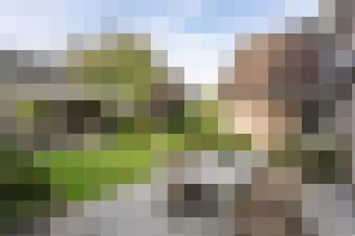 De Fazant 17 Vroomshoop thumbnail 39