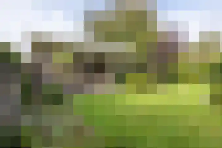 De Fazant 17 Vroomshoop thumbnail 41