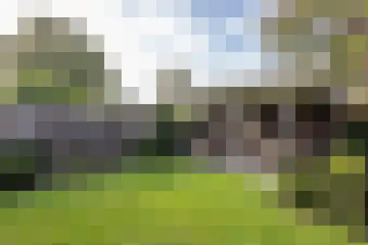 De Fazant 17 Vroomshoop thumbnail 43