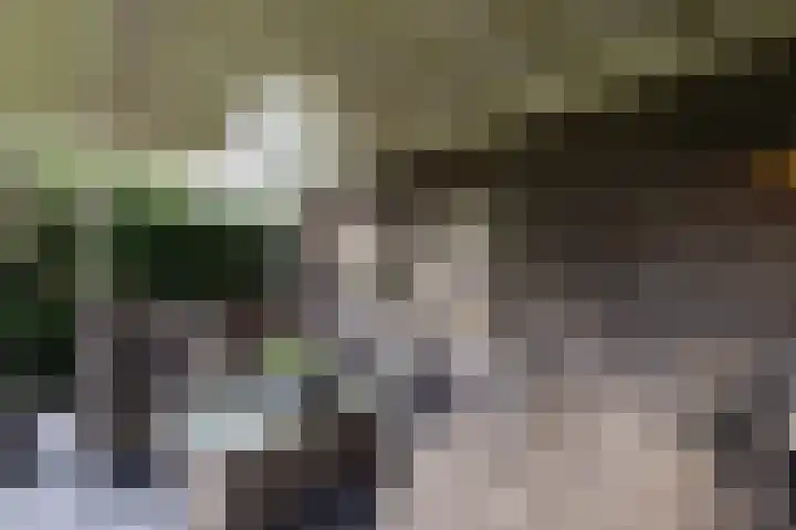 De Fazant 17 Vroomshoop thumbnail 46