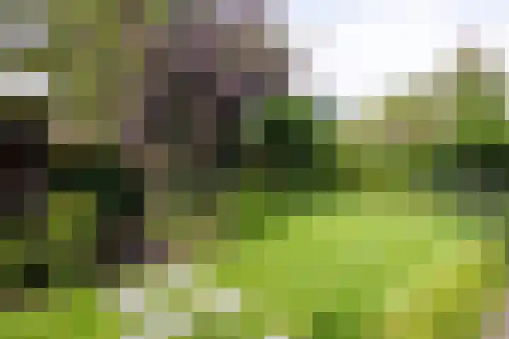 De Fazant 17 Vroomshoop thumbnail 47
