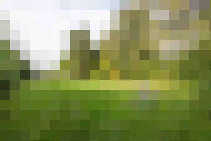 De Fazant 17 Vroomshoop thumbnail 48