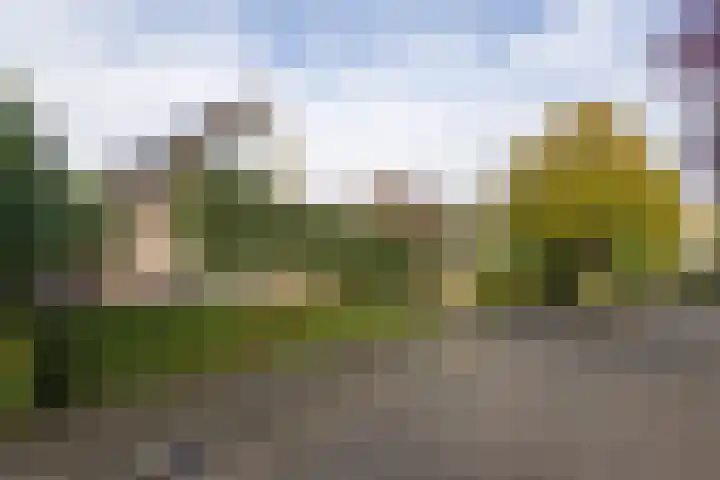 De Fazant 17 Vroomshoop thumbnail 49