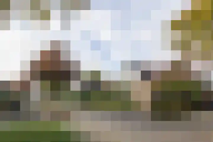 De Fazant 17 Vroomshoop thumbnail 50