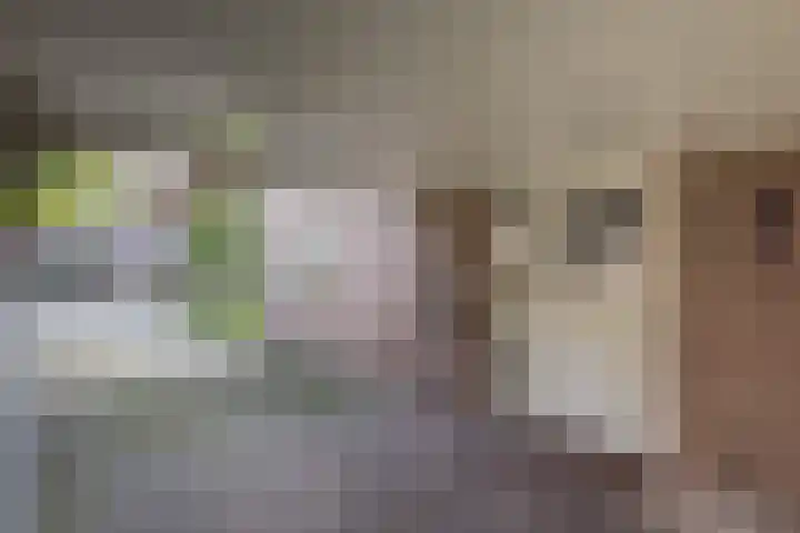 De Fazant 17 Vroomshoop thumbnail 6
